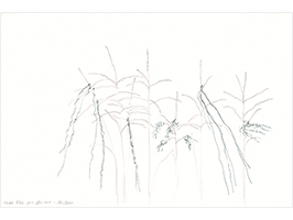 Lucile Bertrand - Herbes folles aux cheveux