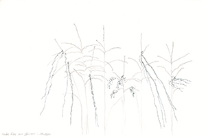 Lucile Bertrand - Herbes folles aux cheveux