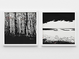 Lucile Bertrand - Invisible Scar 1 & 2