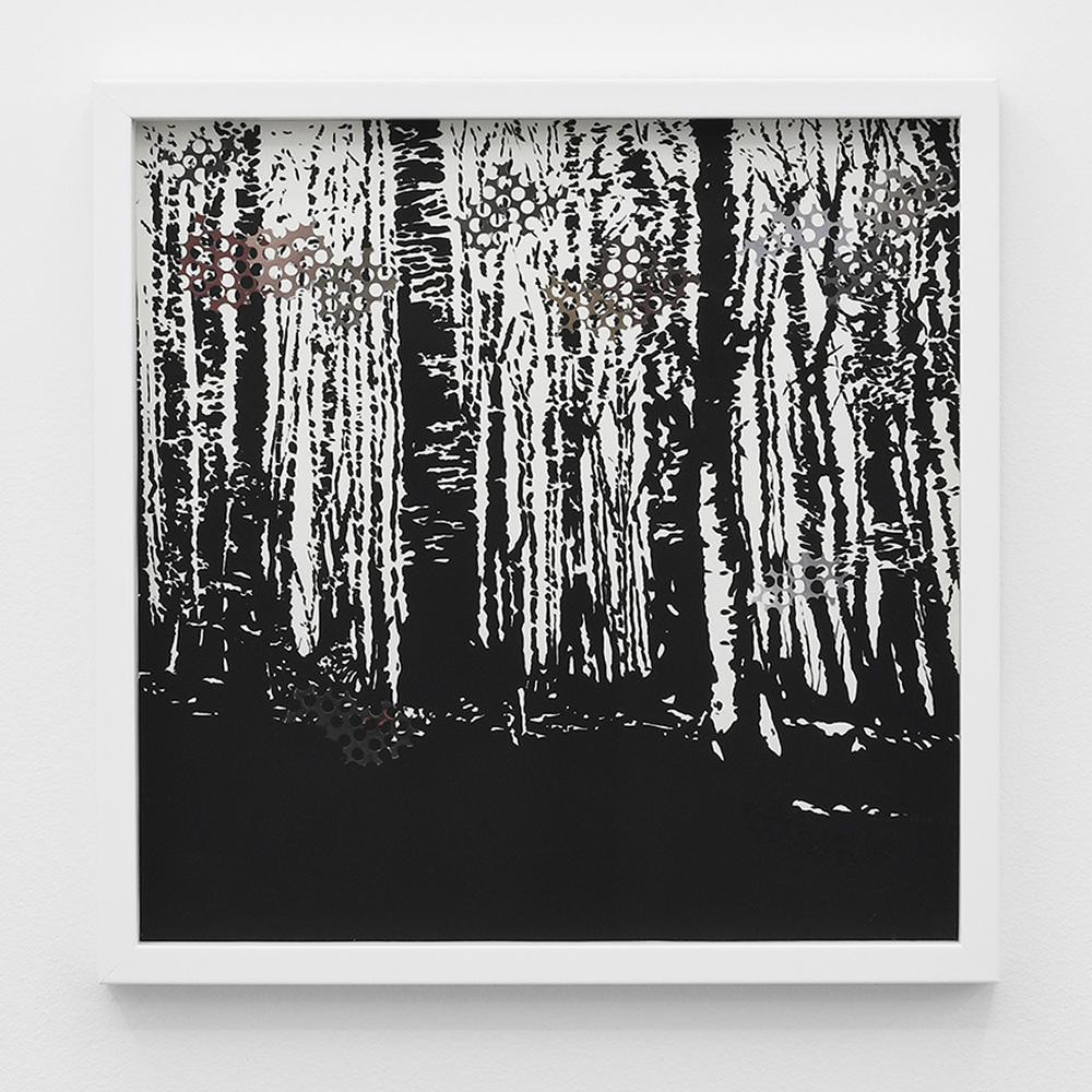 Lucile Bertrand - Invisible Scar 1