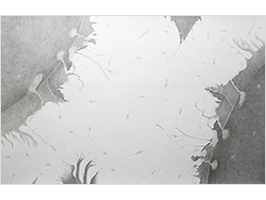 Lucile Bertrand - Matter of Perspective 2