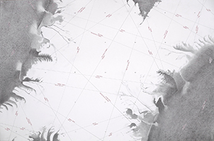 Lucile Bertrand - Question de perspective