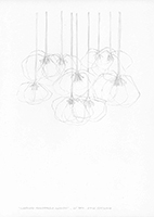 Lucile Bertrand - Suspended transparent flowers