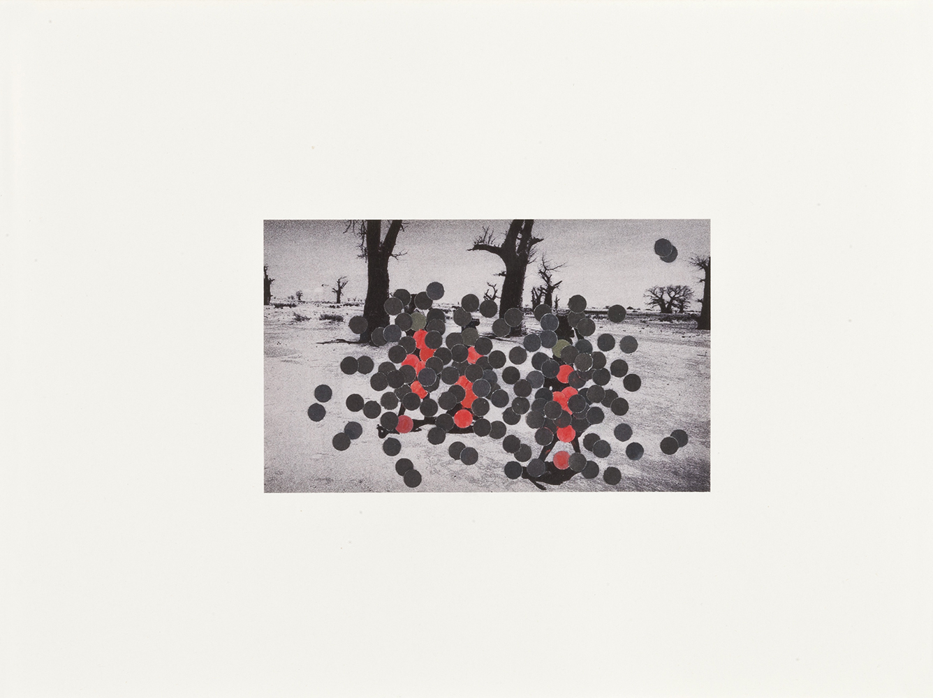 Lucile Bertrand - Perpetratio