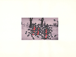 Lucile Bertrand - Perpetratio