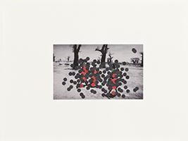 Lucile Bertrand - Perpetratio