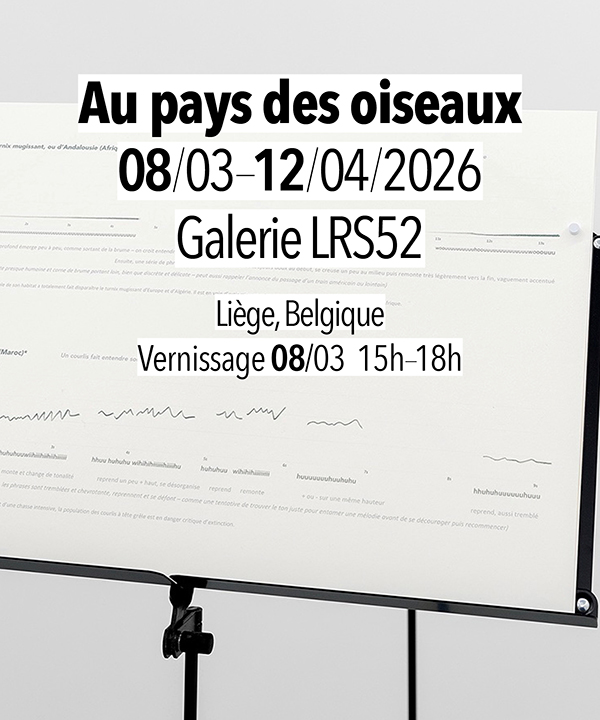 Au pays des oiseaux