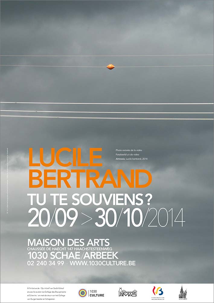Tu te souviens ? exhibition 2014