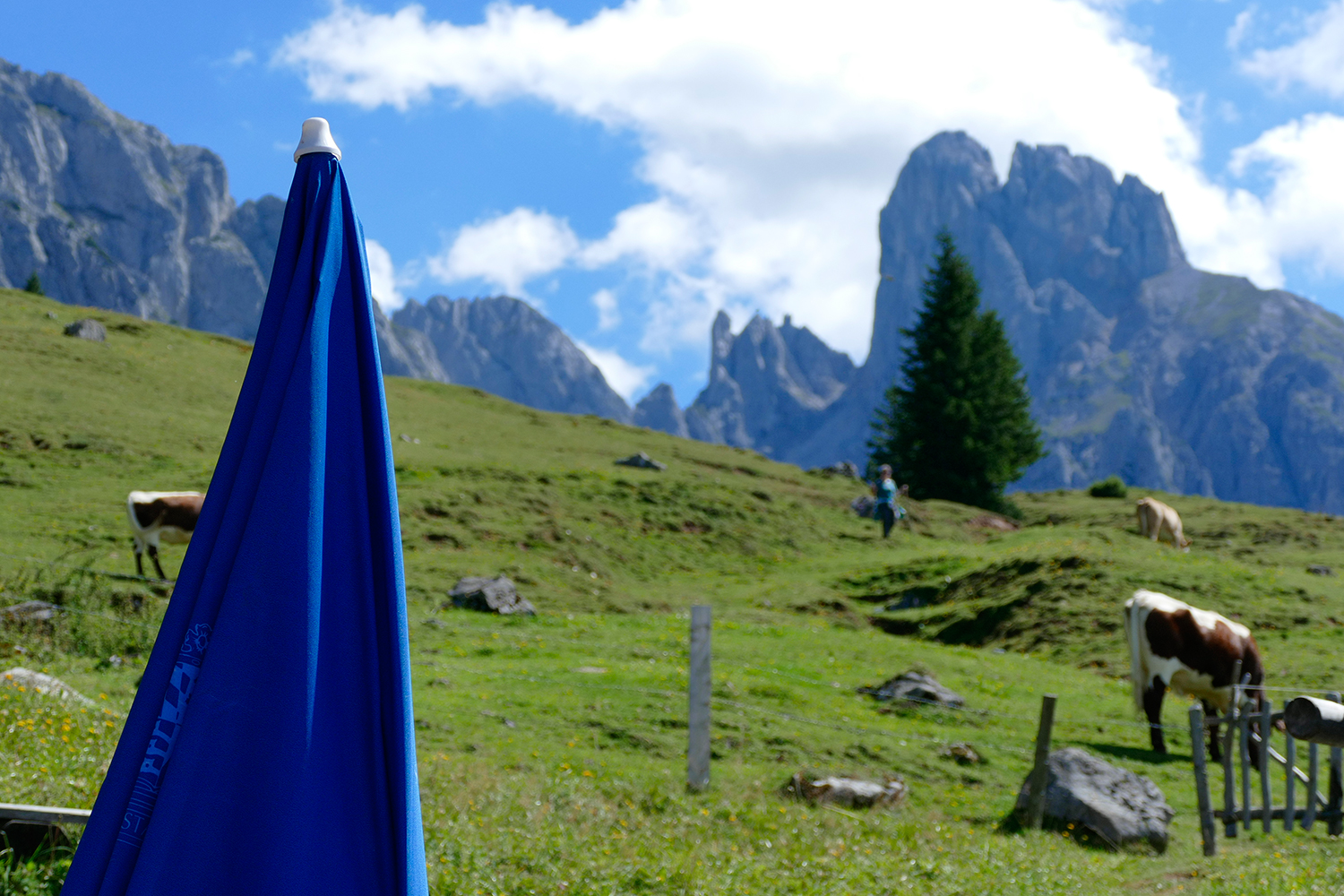 Lucile Bertrand - Blue parasol