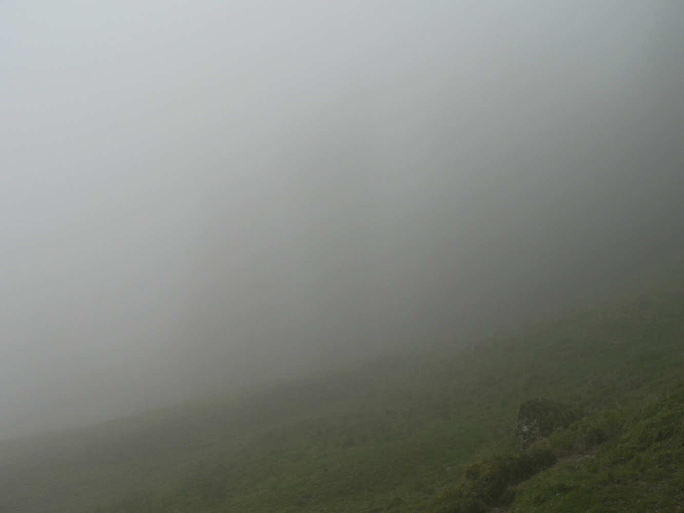 Lucile Bertrand - Brume