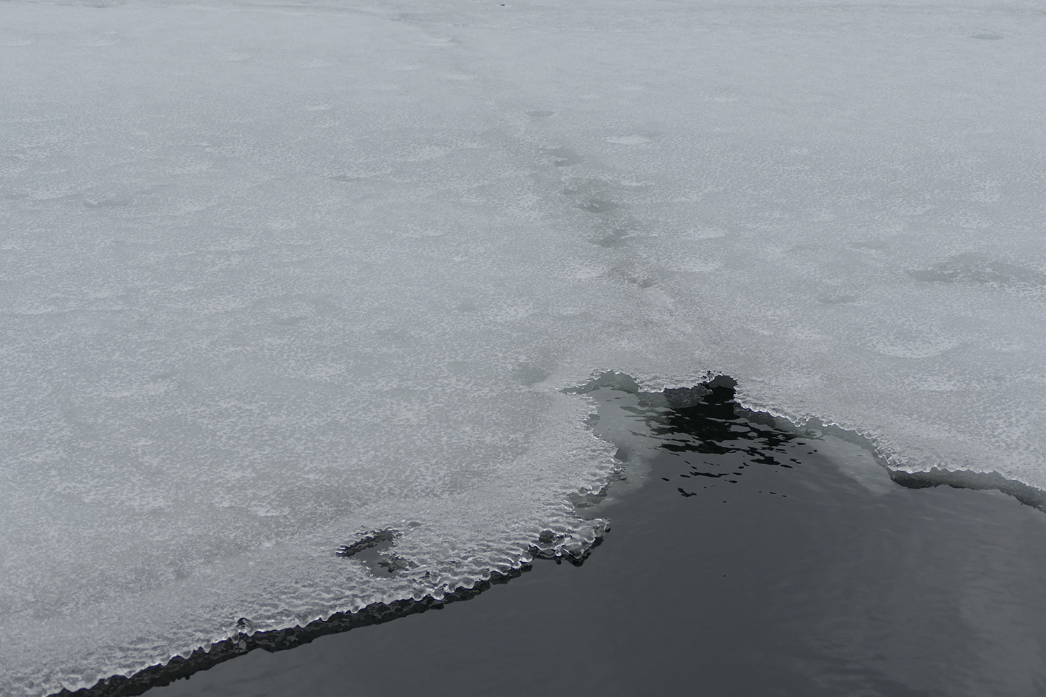 Lucile Bertrand - Ice crust
