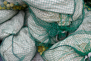 Lucile Bertrand - Photos