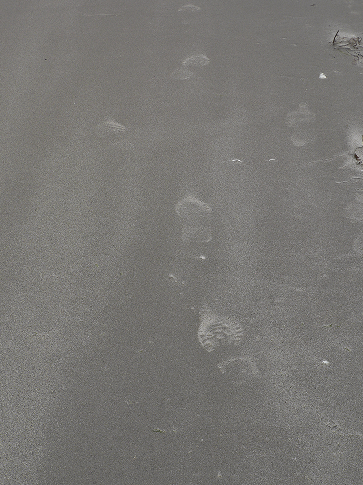 Lucile Bertrand - Traces 1