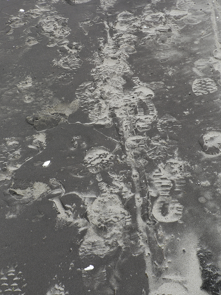 Lucile Bertrand - Traces 3