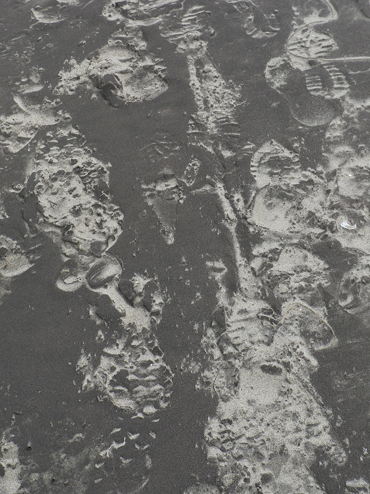 Lucile Bertrand - Traces 4