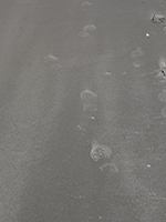Lucile Bertrand - Traces