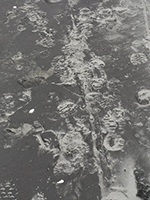 Lucile Bertrand - Traces
