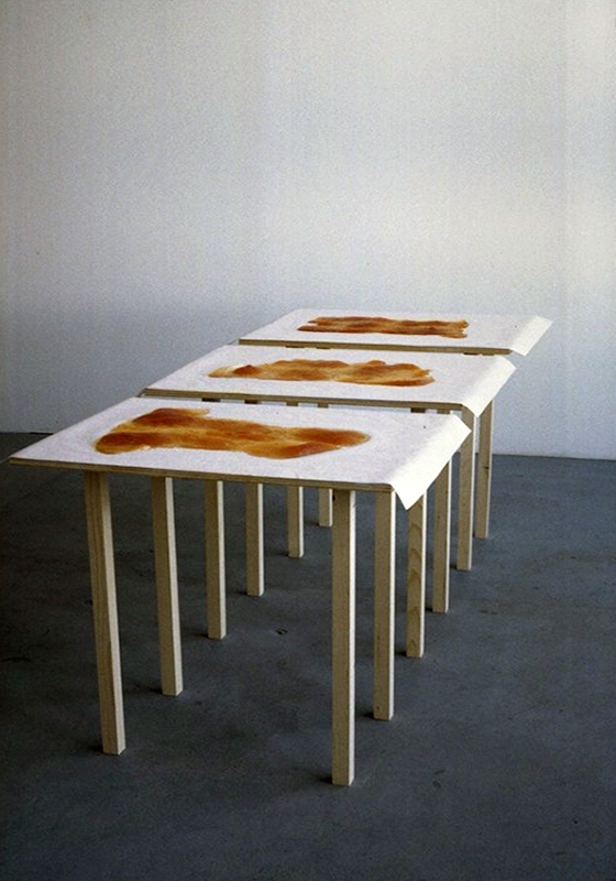 Lucile Bertrand - Everybody's bodies