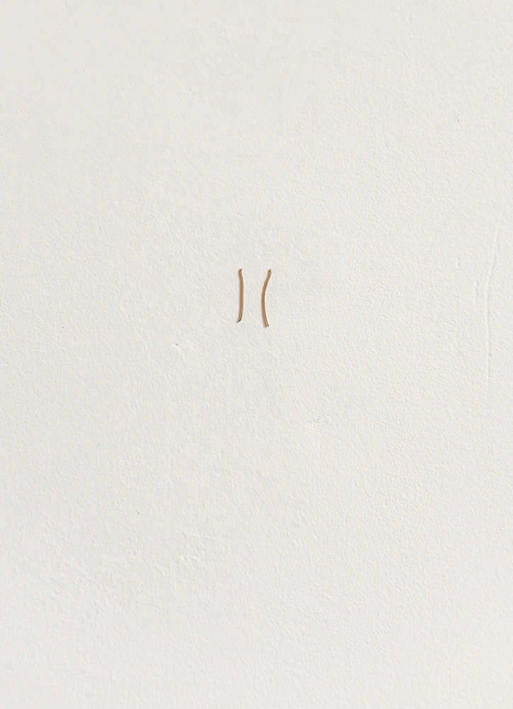En quelques mots / Florian Kiniques