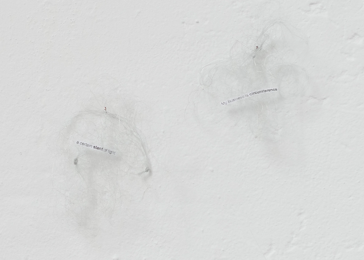 En quelques mots / Stefana McClure