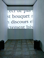 En quelques mots / Chantal Maes