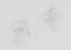En quelques mots / Stefana McClure
