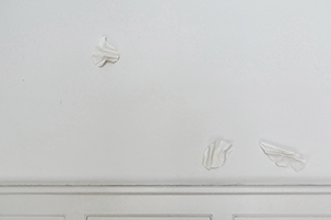 Lucile Bertrand - I Dwell in Possibility