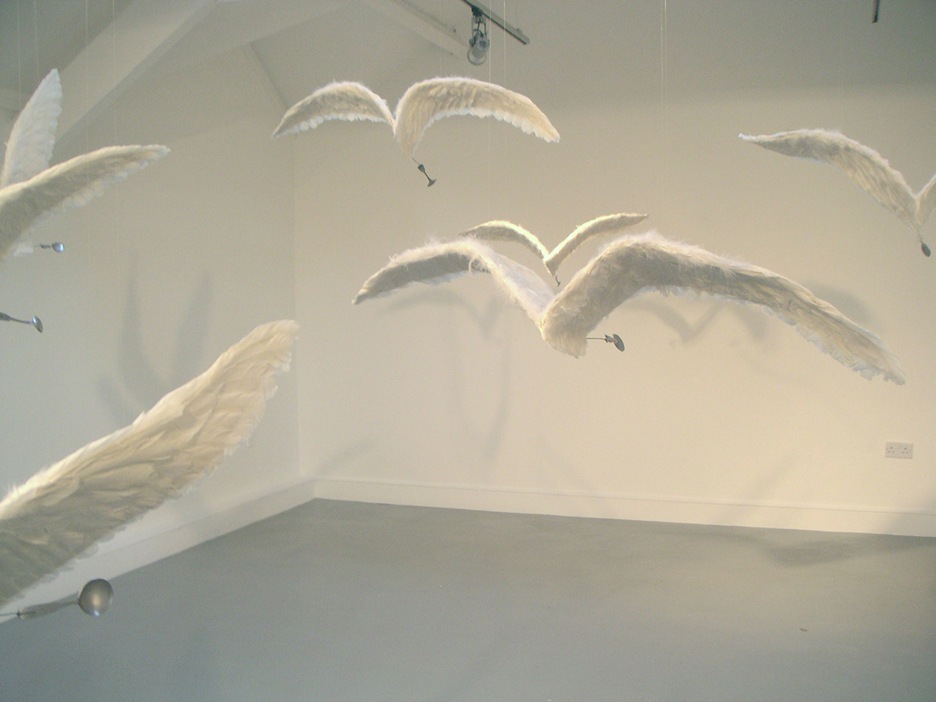 Lucile Bertrand - Migration