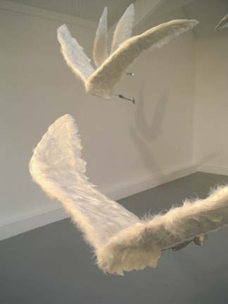 Lucile Bertrand - Migration