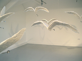 Lucile Bertrand - Migration