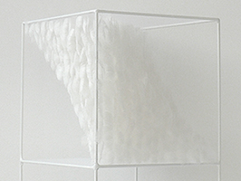 Lucile Bertrand - Section oblique 1