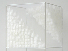 Lucile Bertrand - Section oblique 2