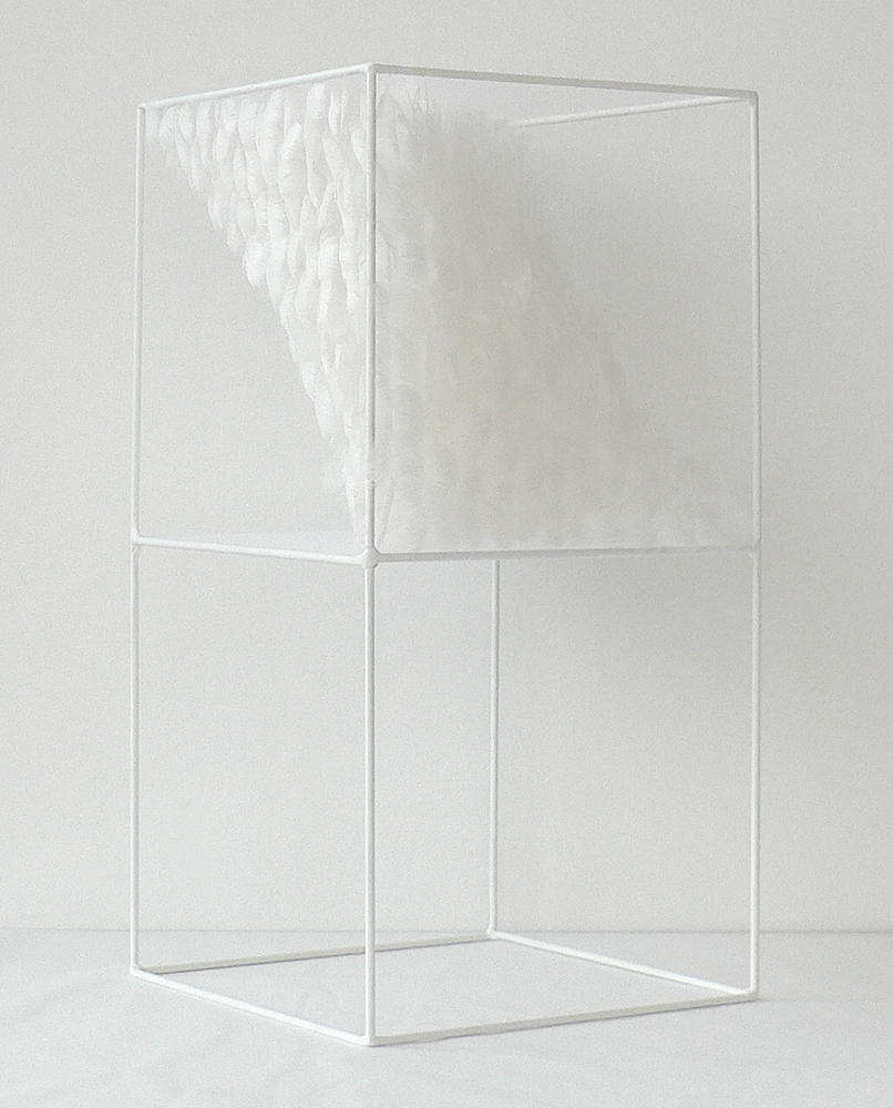 Lucile Bertrand - Section oblique 1