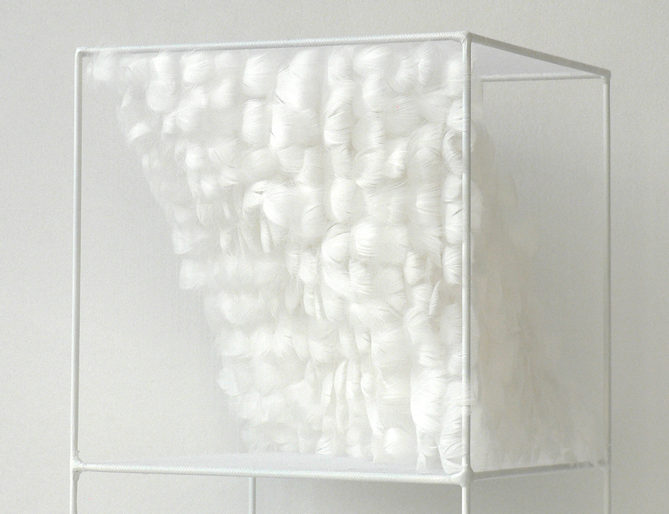 Lucile Bertrand - Section oblique 1