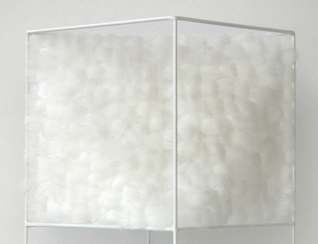 Lucile Bertrand - Section oblique 1