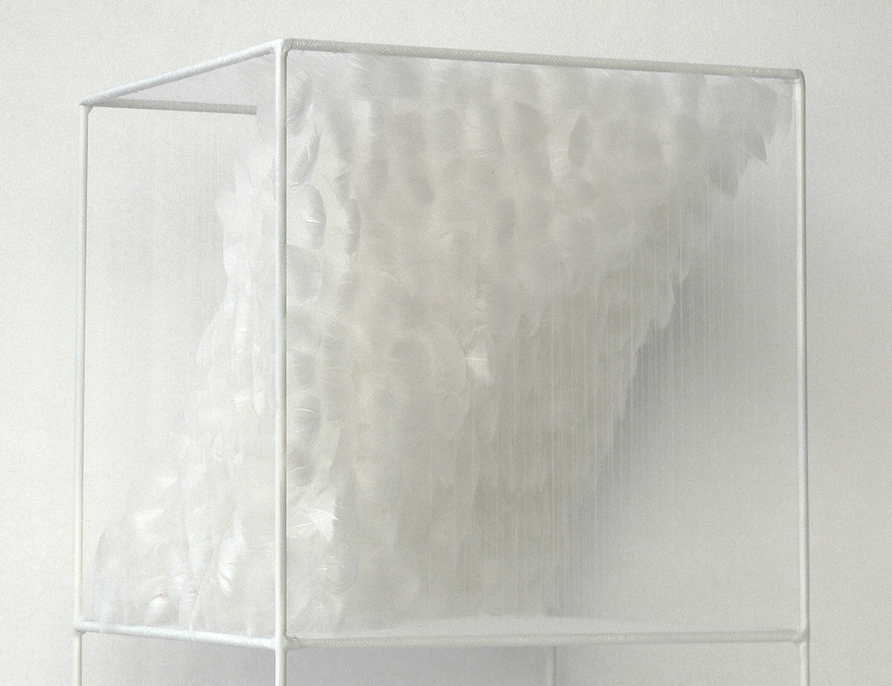Lucile Bertrand - Section oblique 1