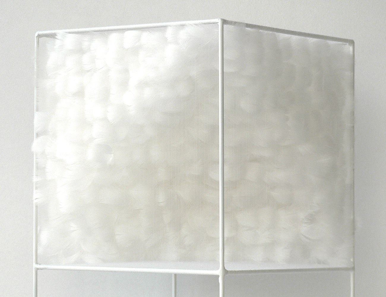 Lucile Bertrand - Section oblique 1
