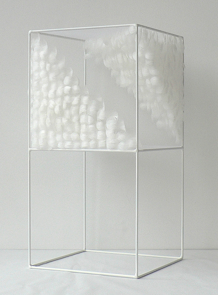 Lucile Bertrand - Section oblique 2