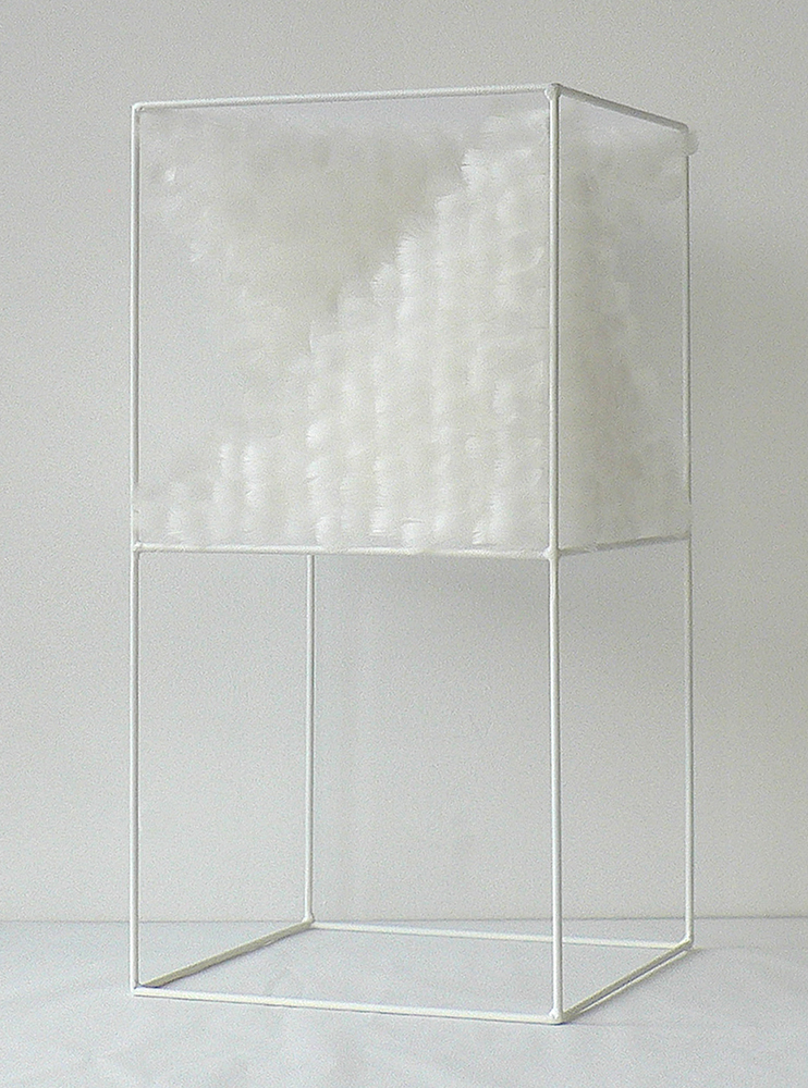 Lucile Bertrand - Section oblique 2