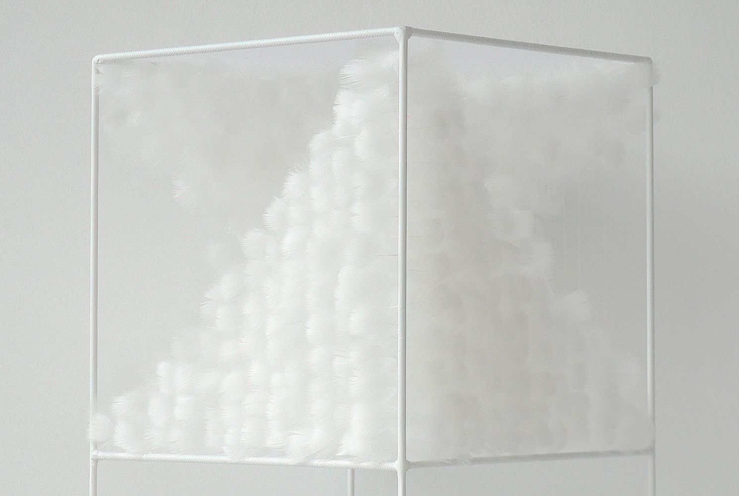 Lucile Bertrand - Section oblique 2