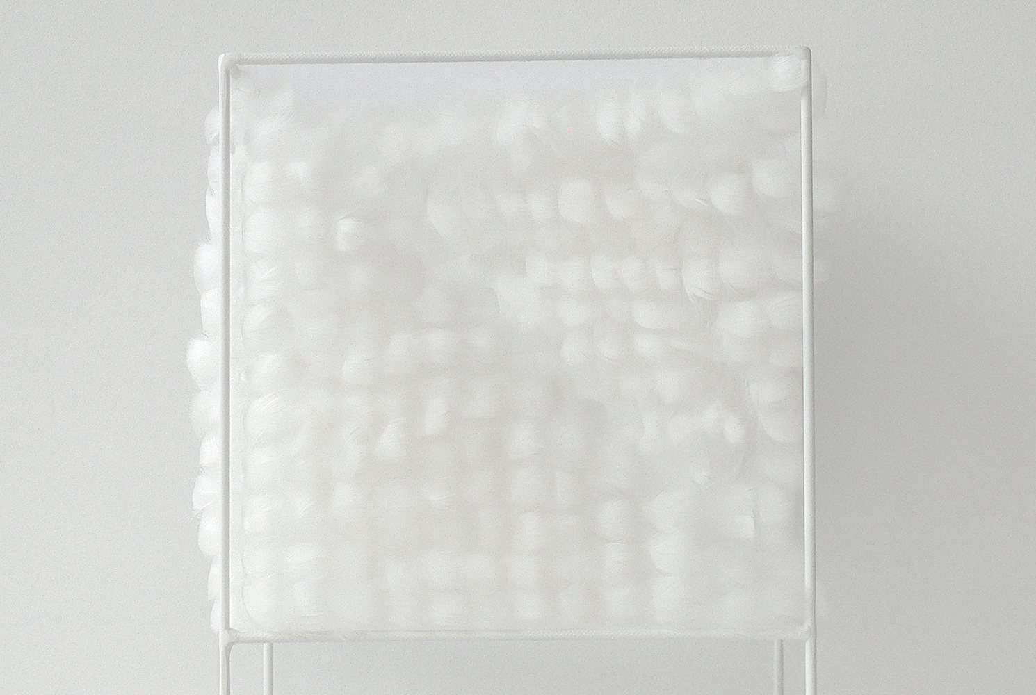 Lucile Bertrand - Section oblique 2