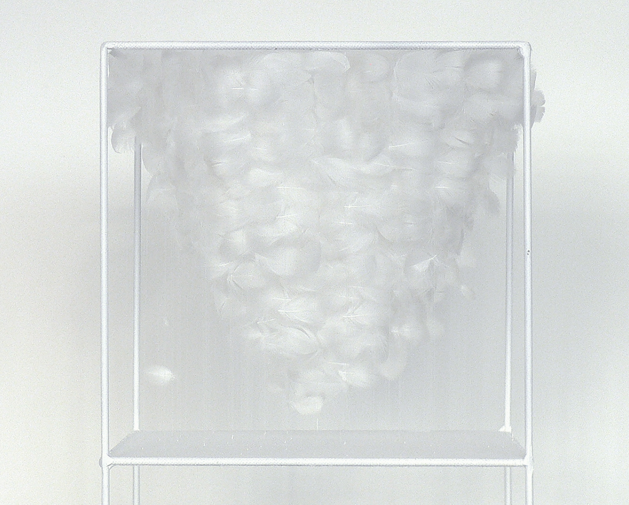 Lucile Bertrand - Vortex