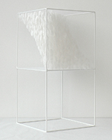 Lucile Bertrand - Section oblique 1