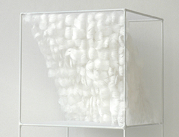 Lucile Bertrand - Section oblique 1