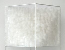 Lucile Bertrand - Section oblique 1