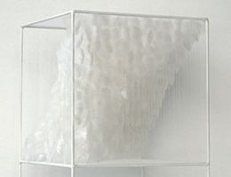 Lucile Bertrand - Section oblique 1