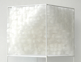 Lucile Bertrand - Section oblique 1