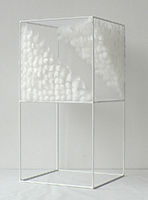 Lucile Bertrand - Section oblique 2