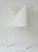 Lucile Bertrand - Section oblique 2