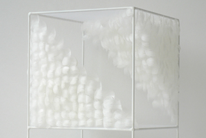 Lucile Bertrand - Section oblique 2